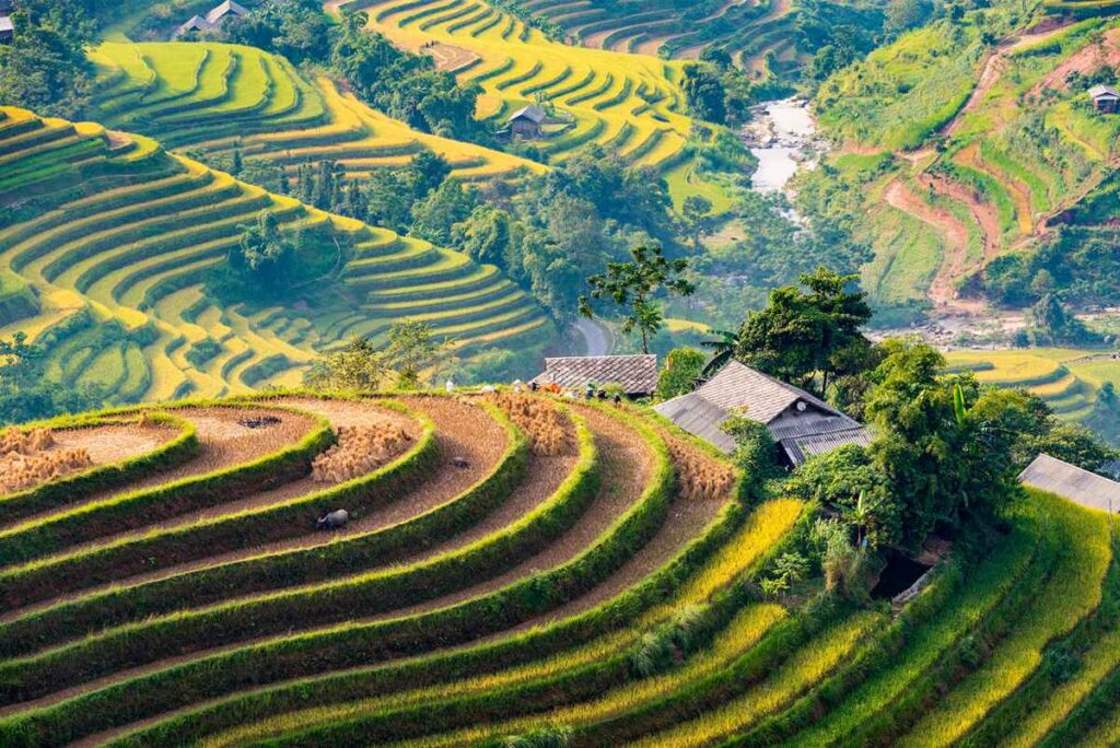 ban-luoc-hoang-su-phi