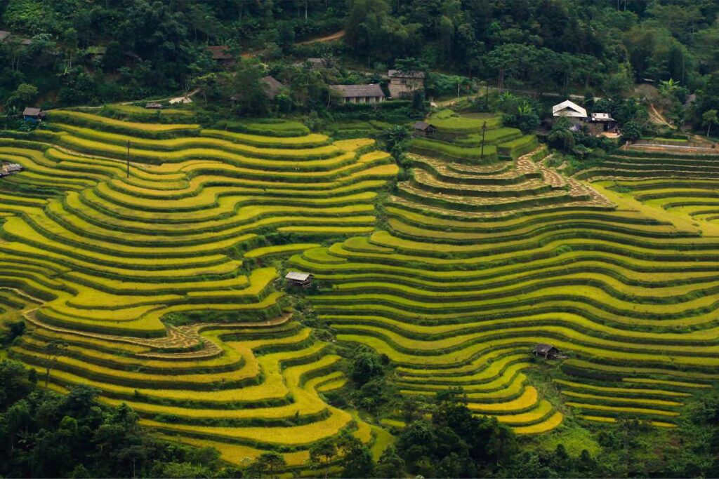 hoang-su-phi-trekking-tour