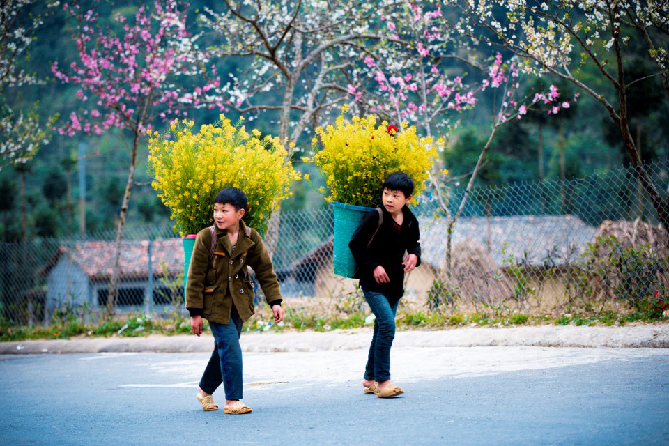 Ha-Giang-weather-When-is-the-best-time-to-travel-03