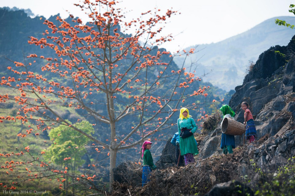 Ha-Giang-weather-When-is-the-best-time-to-travel-05