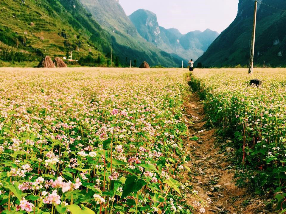 Ha-Giang-weather-When-is-the-best-time-to-travel-08